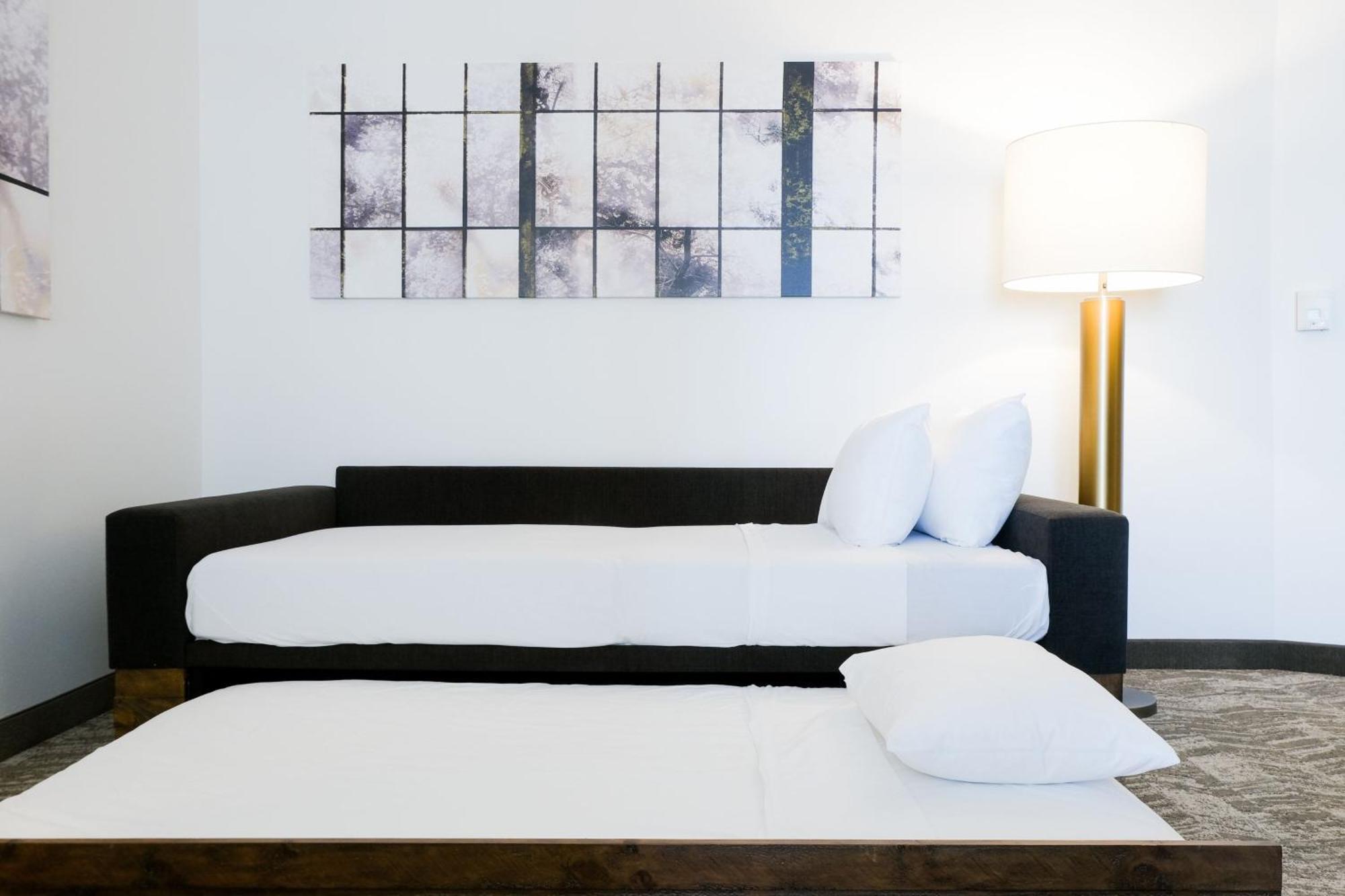 Springhill Suites By Marriott Dallas Richardson/Plano Экстерьер фото